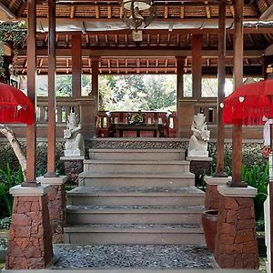 Nefatari Exclusive Villas